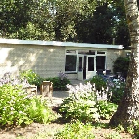 Luxe Recreatiebungalow Zelhem Dış mekan fotoğraf