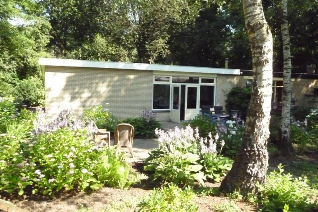 Luxe Recreatiebungalow Zelhem Dış mekan fotoğraf