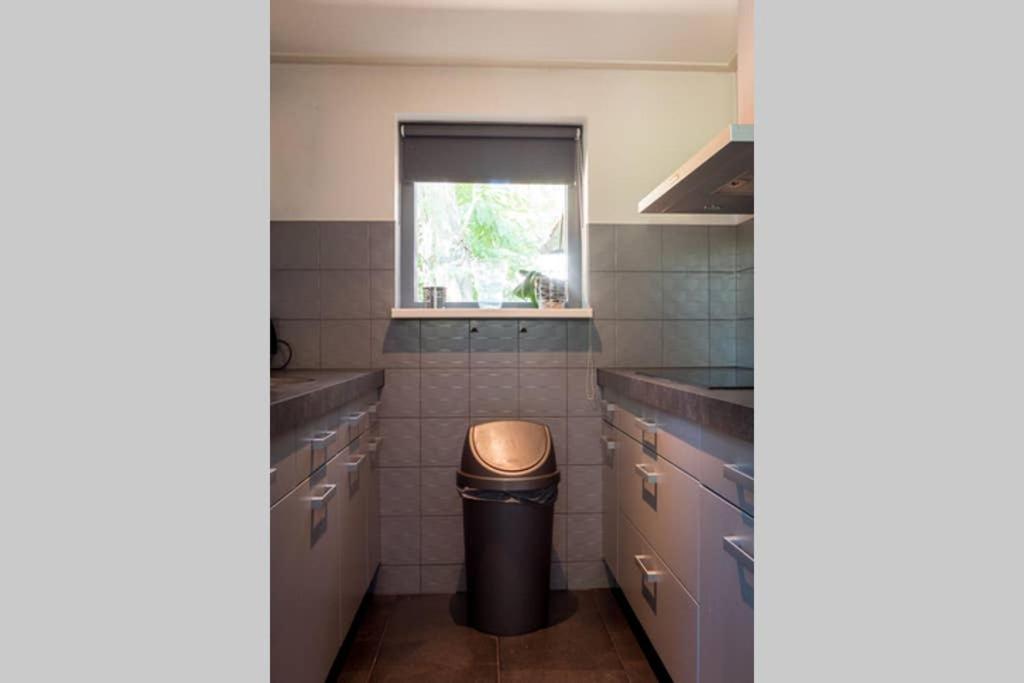 Luxe Recreatiebungalow Zelhem Dış mekan fotoğraf